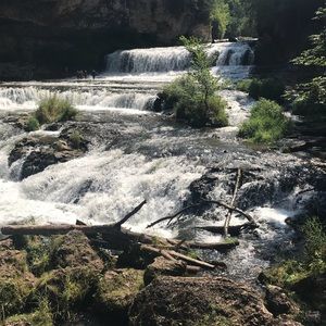 Meet your Posher, Darcie